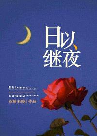 日以继夜封面