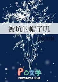 被坑的帽子叽[综漫]封面